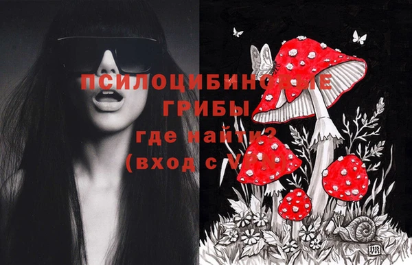дживик Богородск