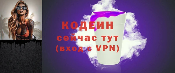 дживик Богородск