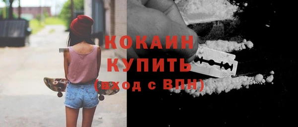дживик Богородск