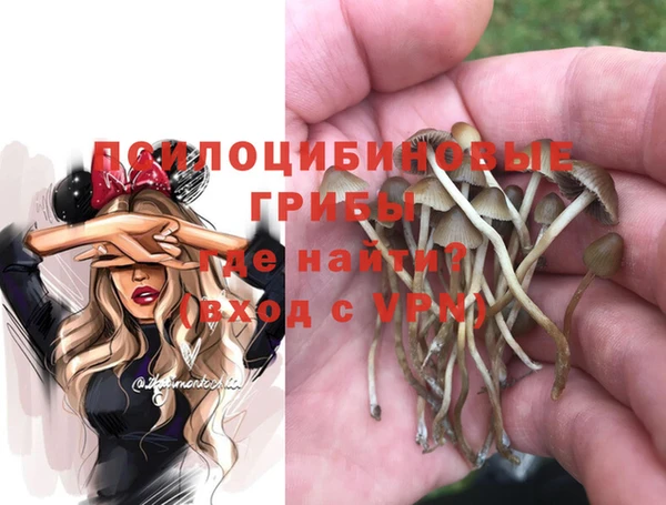 дживик Богородск