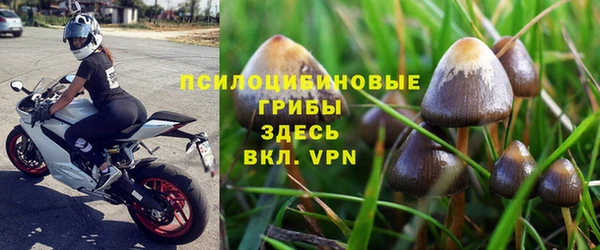 прущая мука Богородицк