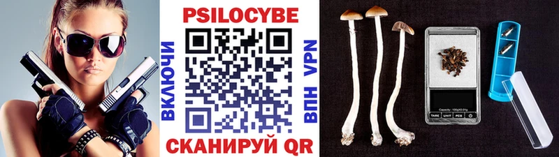 дарнет шоп  Мыски  Псилоцибиновые грибы MAGIC MUSHROOMS 